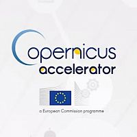 Copernicus and Entrepreneurship