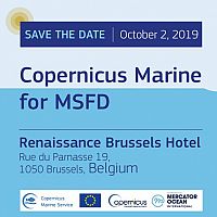 Copernicus Marine for MSFD