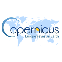 Monitoring Anthropogenic CO2 Emissions with Copernicus