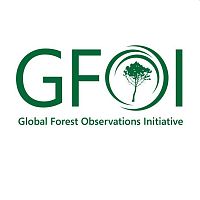 Global Forest Observation Initiative Plenary 2020