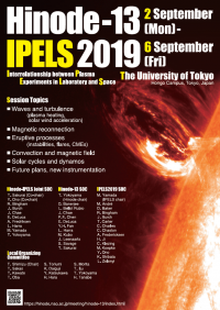 Fundamental Plasma Processes in the Sun, Interplanetary Space, and in the Laboratory
