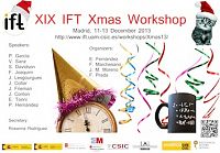 XIX IFT UAM-CSIC Christmas Workshop 2013